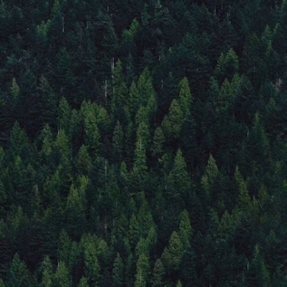 Meet your Posher, Kepler - Picture 1 of 1